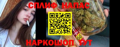 прущие грибы Туймазы