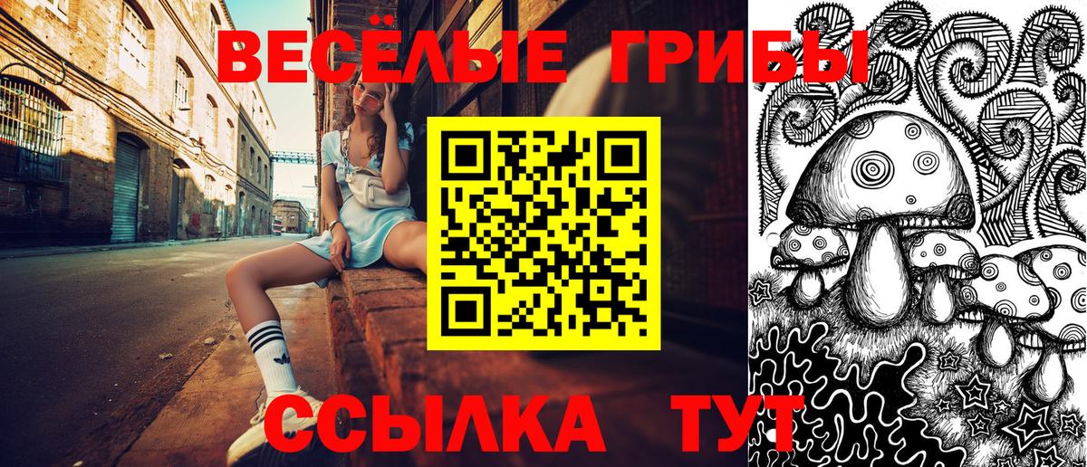 Барнаул  Галлюциногенные грибы MAGIC MUSHROOMS  где можно купить наркотик  Псилоцибиновые грибы MAGIC MUSHROOMS  Вход с VPN 